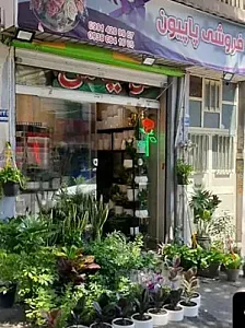 گل فروشی پاپیون