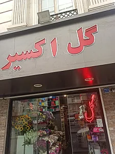 گل اکسیر