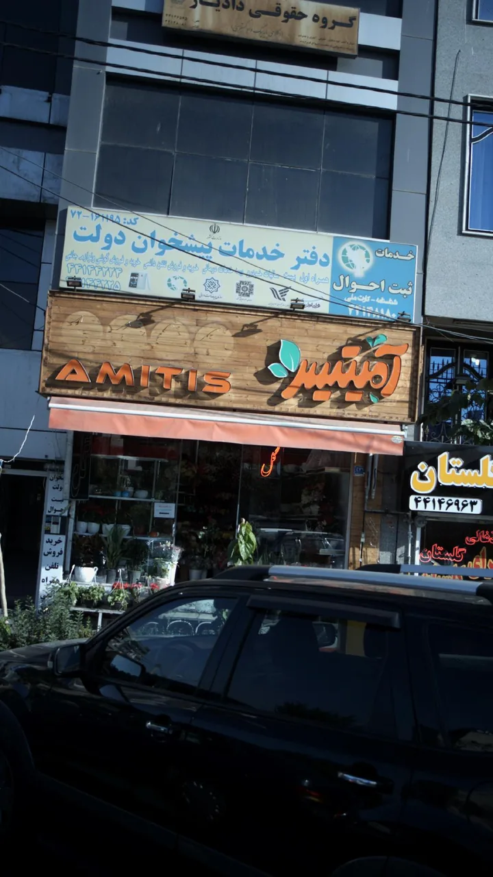 امیتیس - تصویر 2