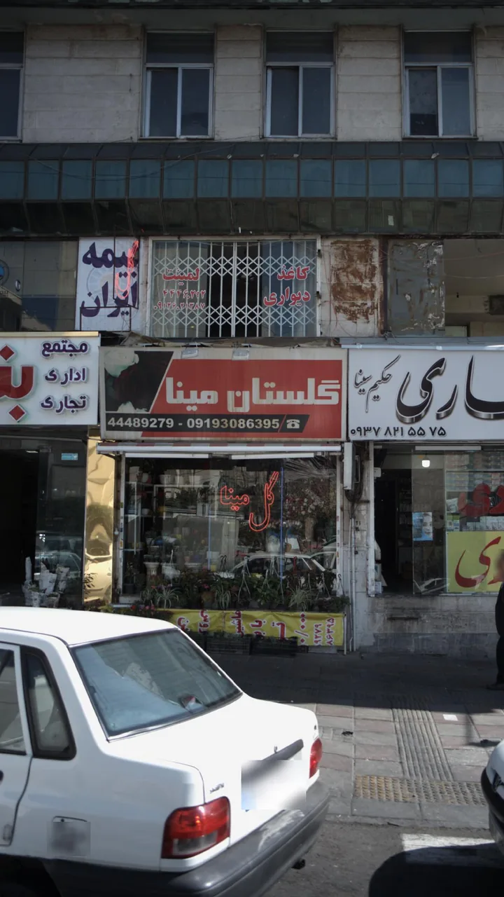 گلستان مینا - تصویر 2