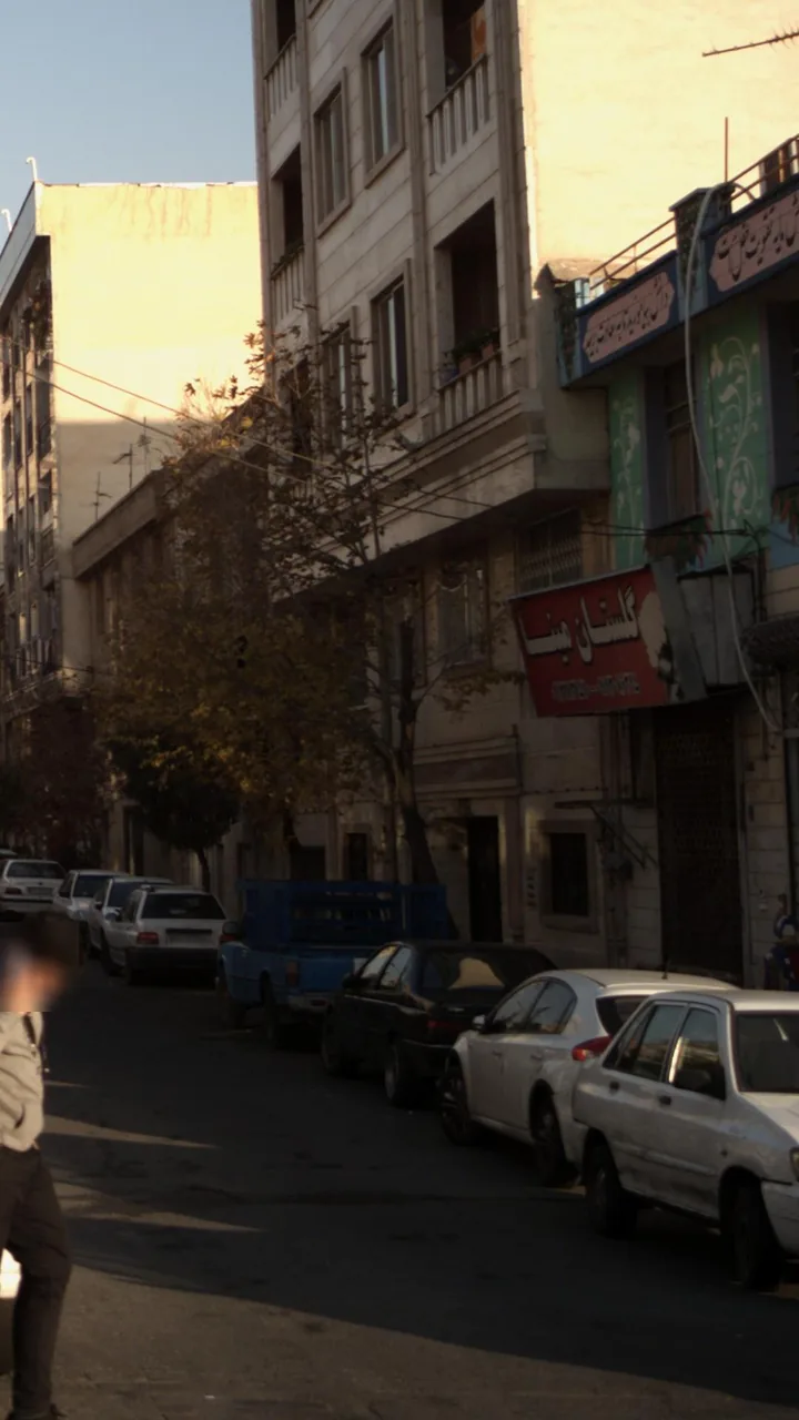 گلستان مینا - تصویر 3