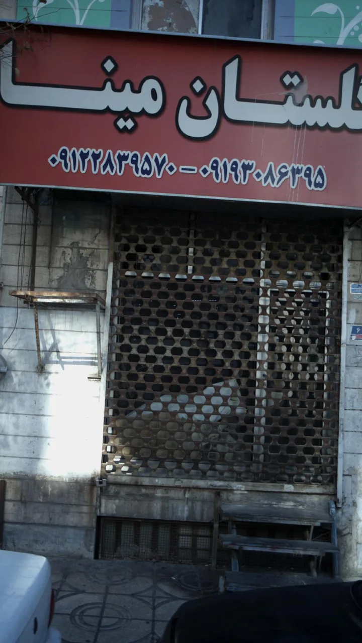 گلستان مینا - تصویر 4