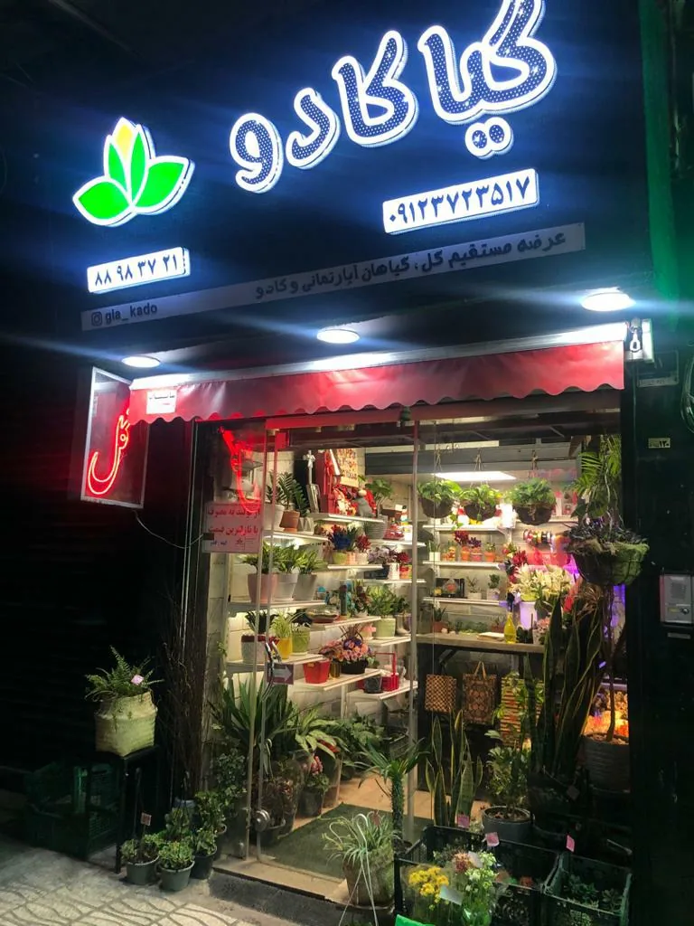 گلفروشی گیاکادو - تصویر 3