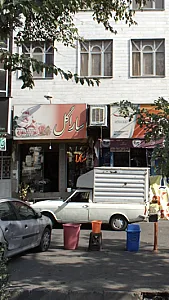 سارا گل