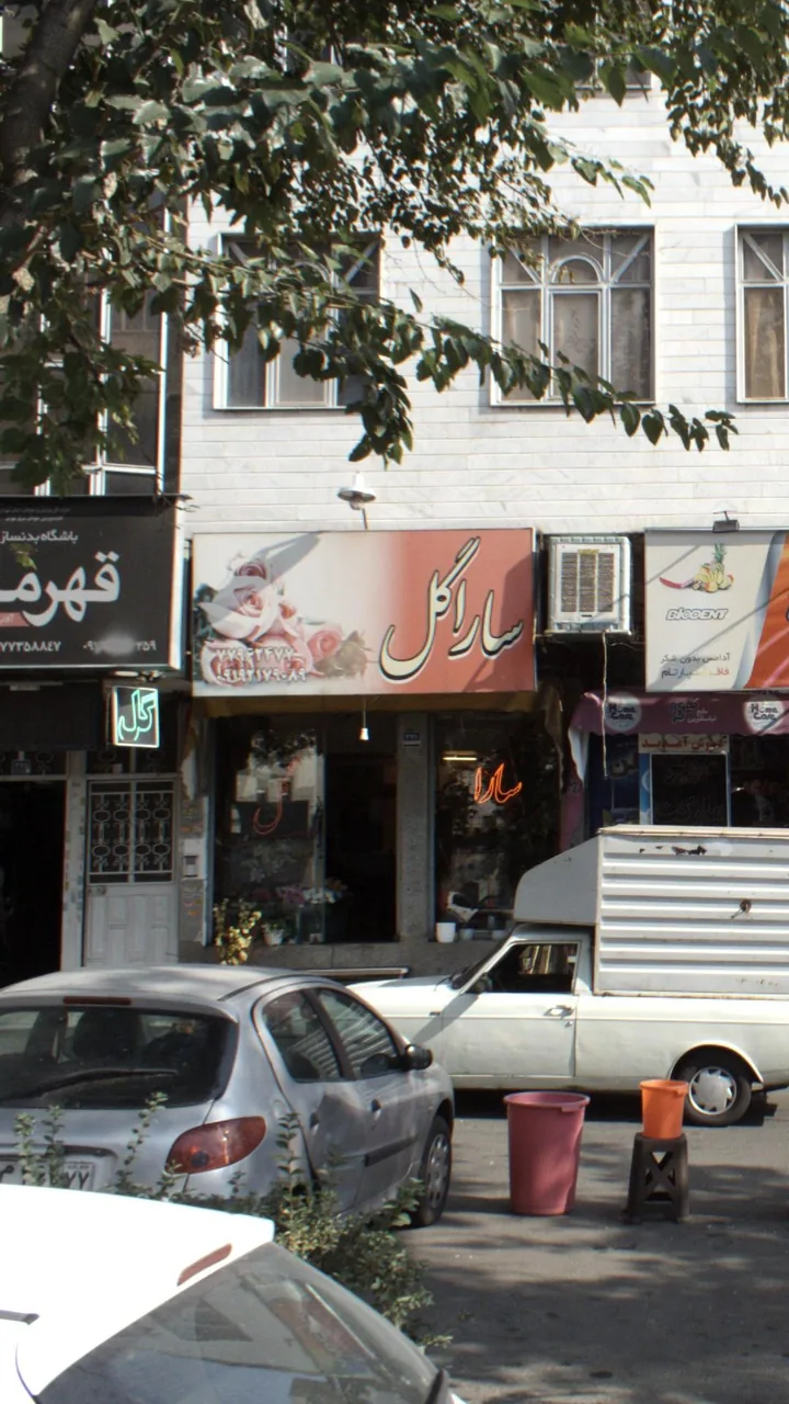 سارا گل - تصویر 2