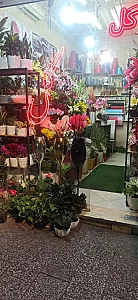 دنیای گل