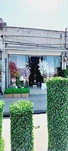 گل فروشی یاس