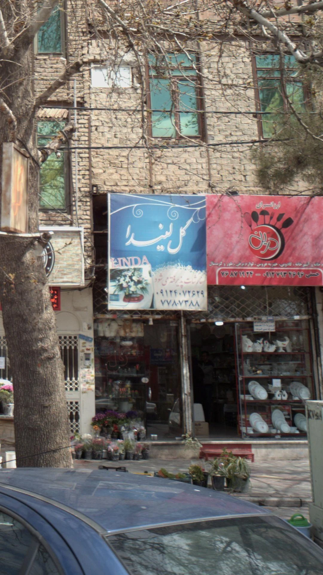گل لیندا