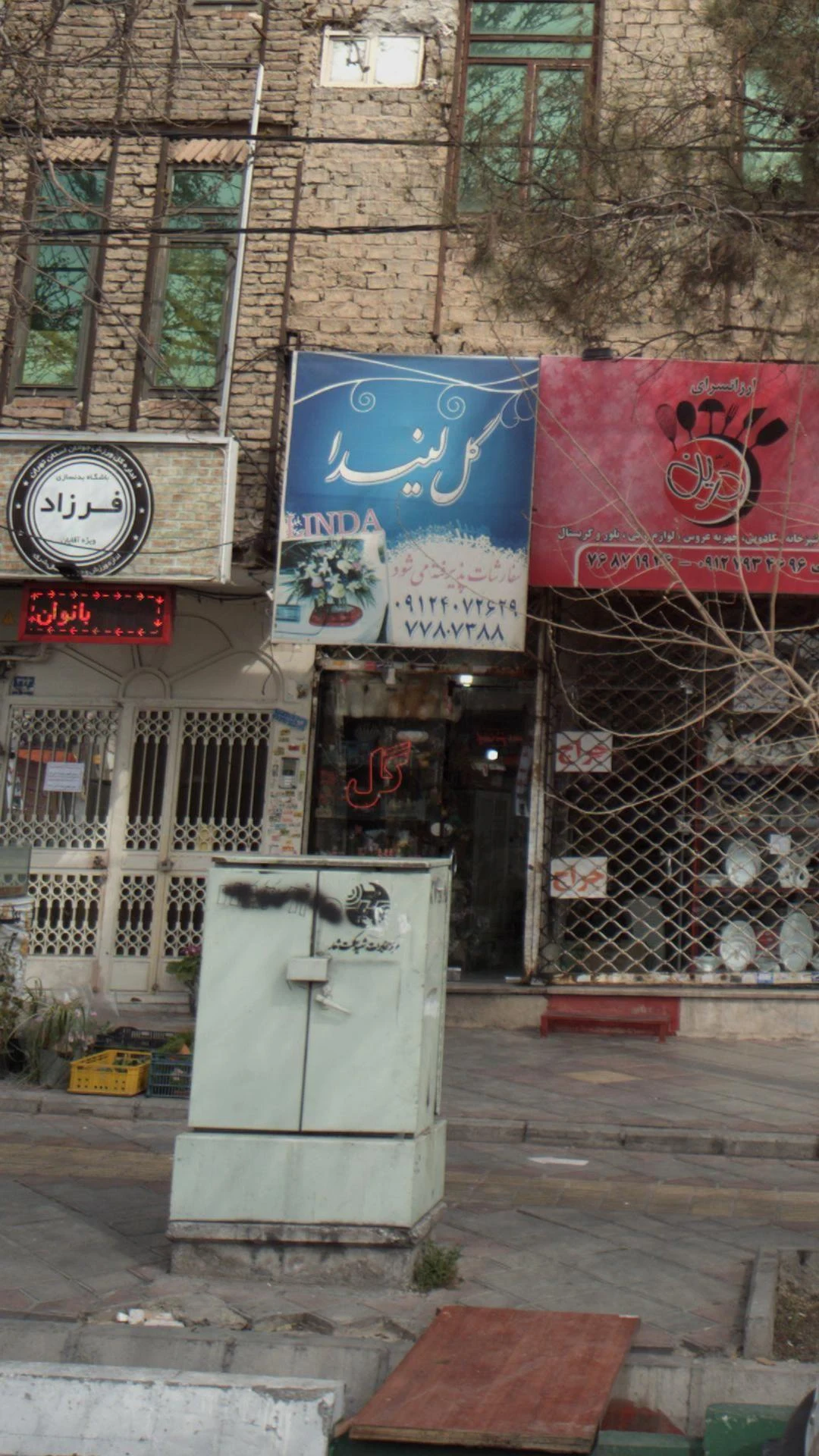 گل لیندا - تصویر 2