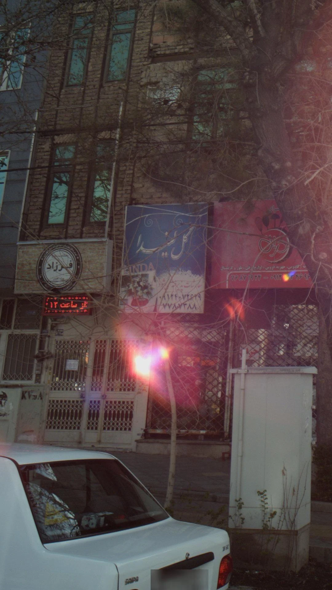 گل لیندا - تصویر 3