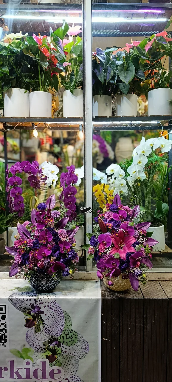 گلسرای ایران ارکیده - تصویر 3