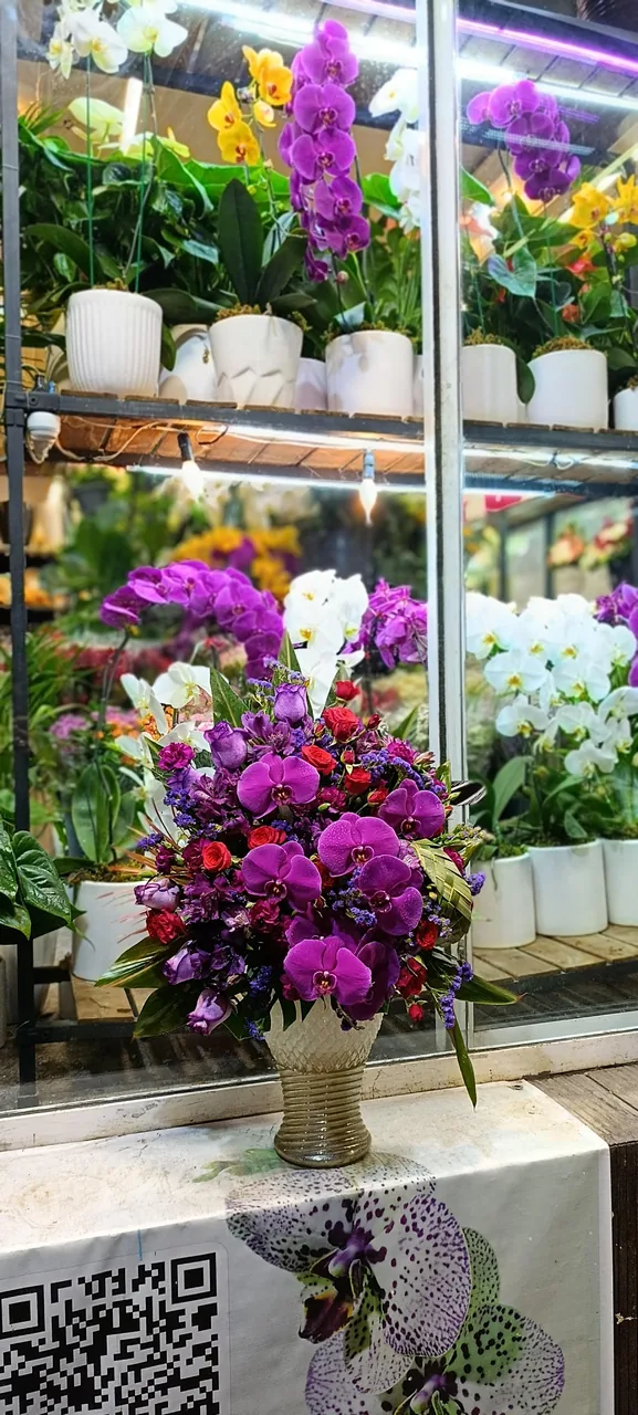 گلسرای ایران ارکیده - تصویر 4