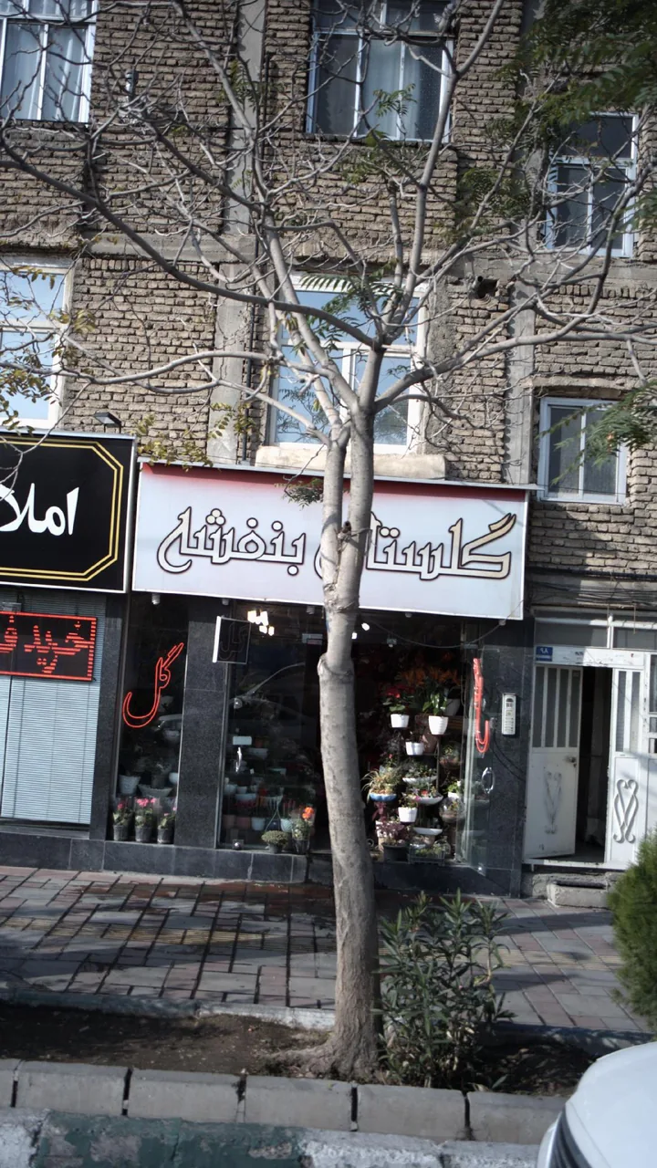 گلستان بنفشه - تصویر 2