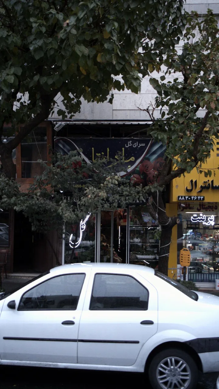 سرای گل مارانتا