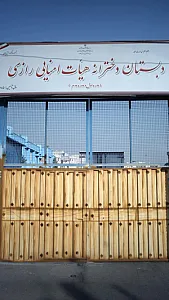 مدرسه رازی