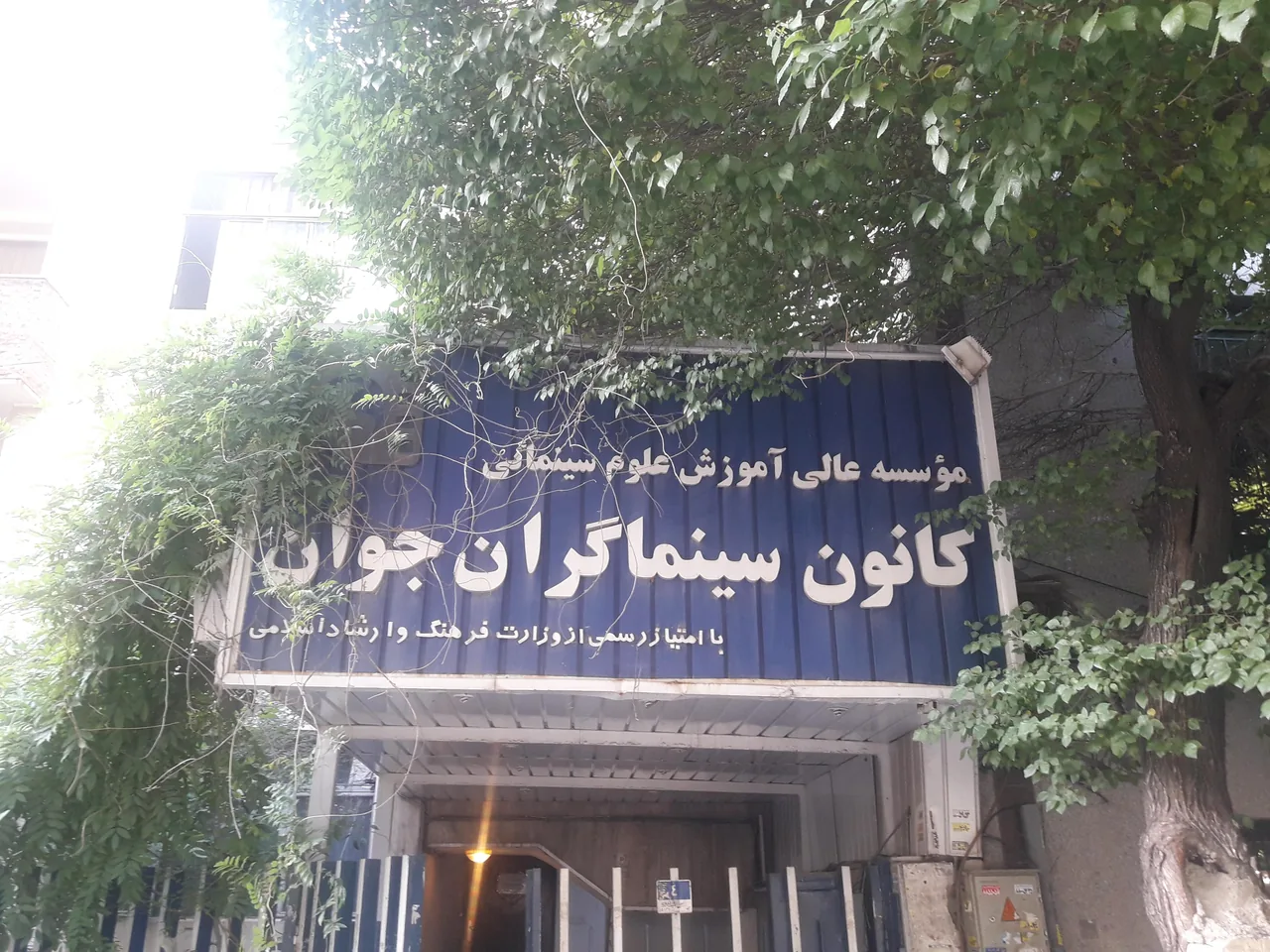 کانون سینما گران جوان