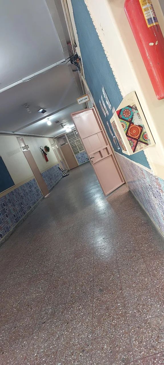 دبیرستان نمونه دولتی دخترانه بشری - تصویر 4