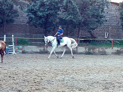 باشگاه سوارکاری ایران سوارکاران غرب