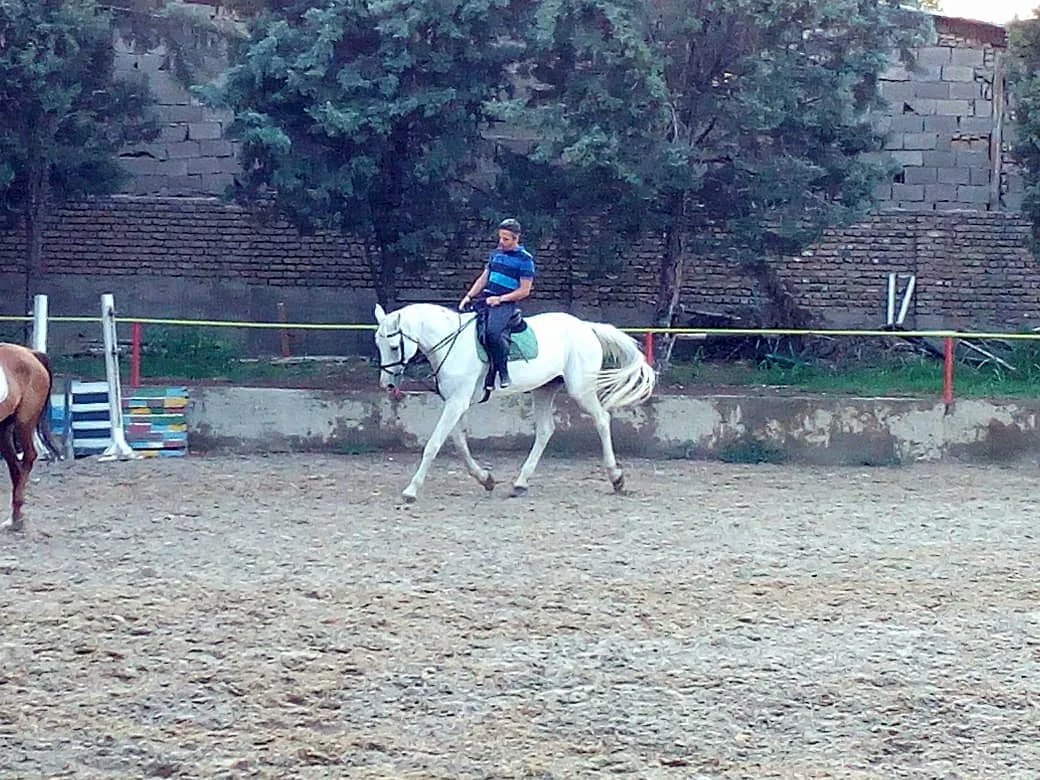 باشگاه سوارکاری ایران سوارکاران غرب