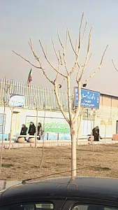 ‍واحد دبیرستان پسرانه ولی عصر