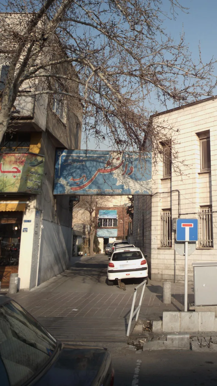 دبیرستان پسرانه غیر دولتی دانش وحید - تصویر 2