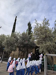 دبستان شهید مفتح