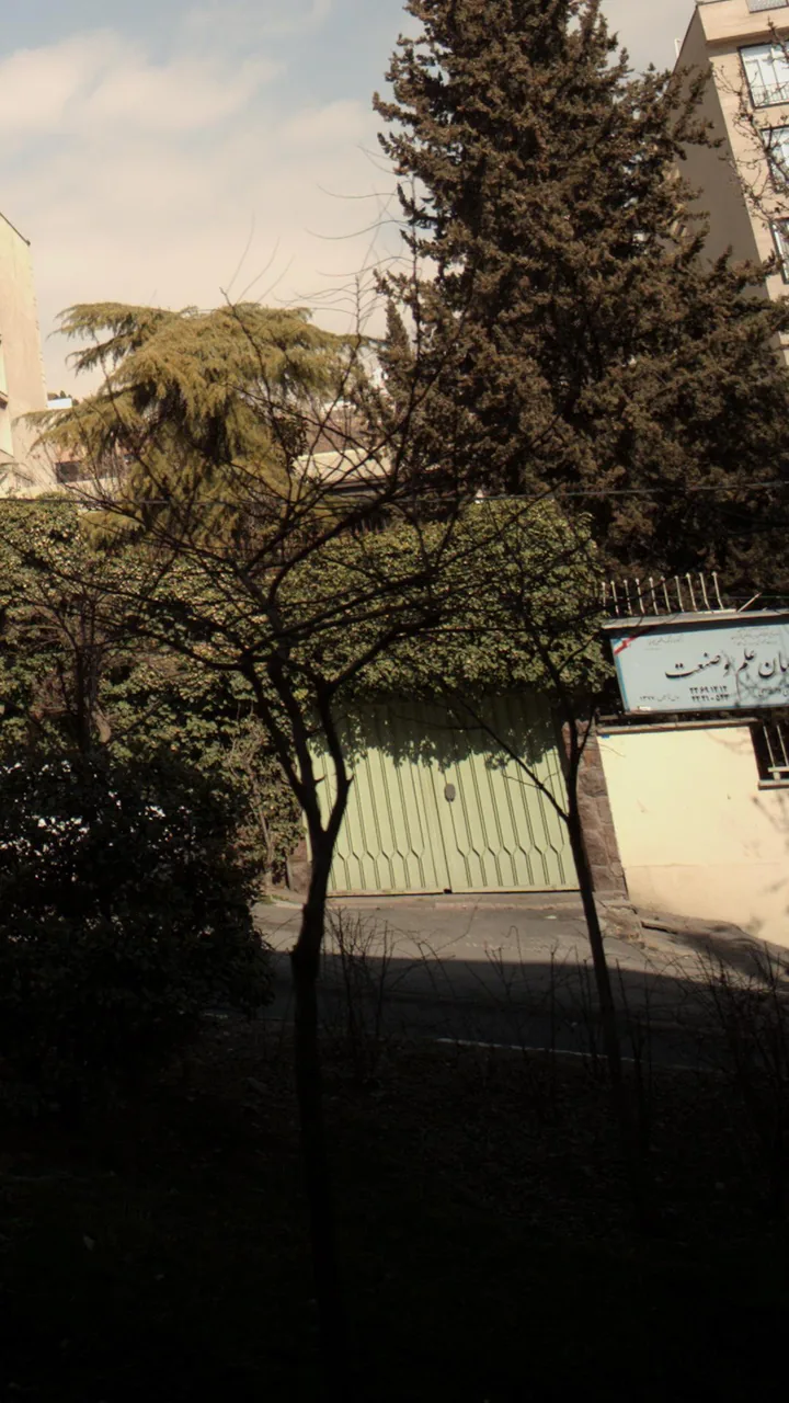هنرستان علم و صنعت - تصویر 4