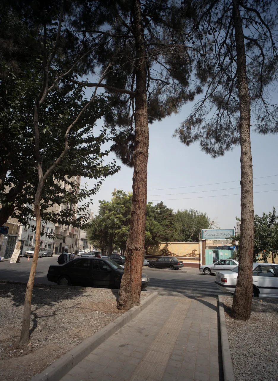 دبیرستان پسرانه دولتی رسالت