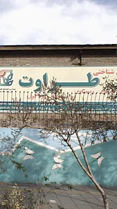 مدارس شناختی طراوت