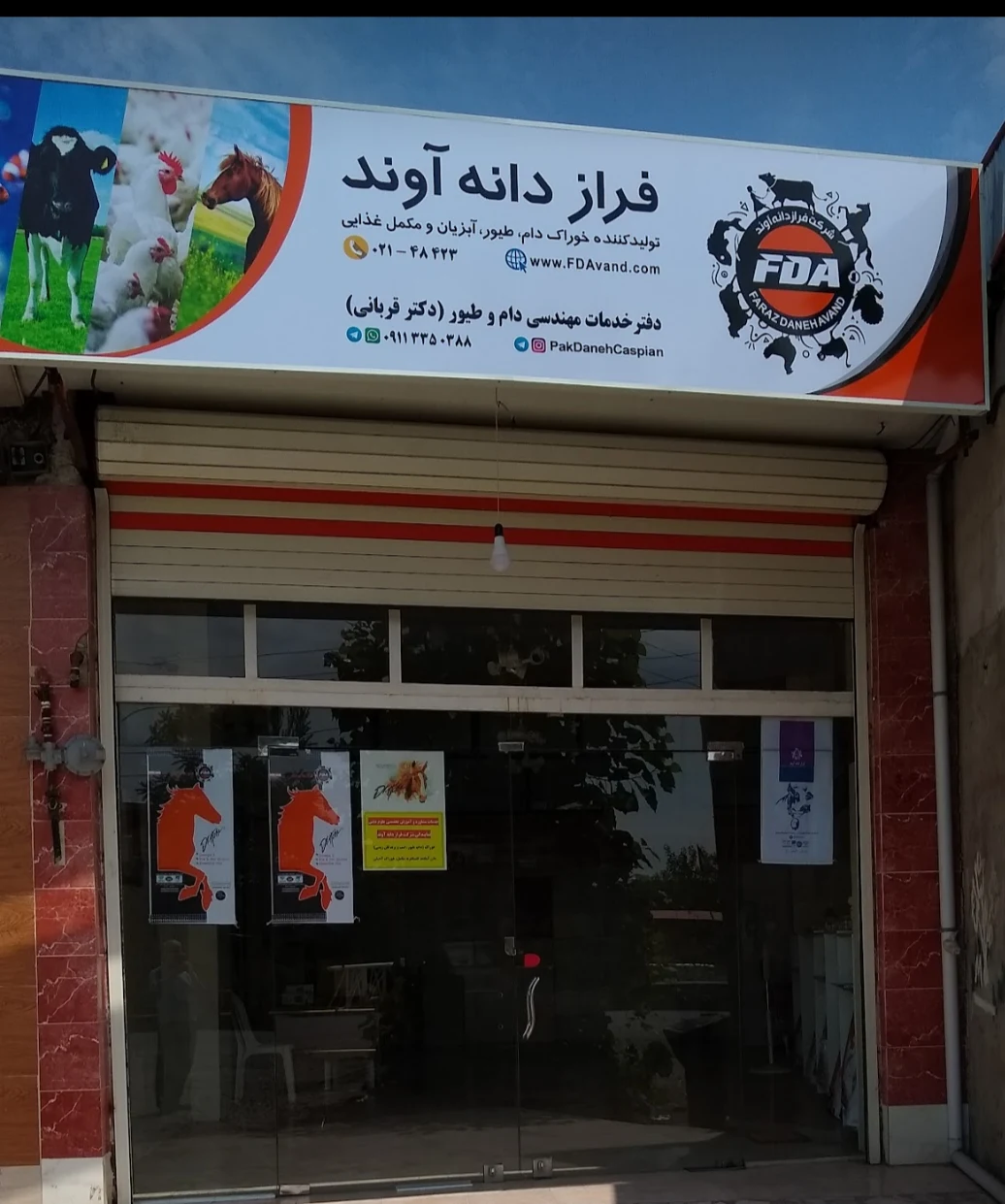 فروشگاه فیکوهی