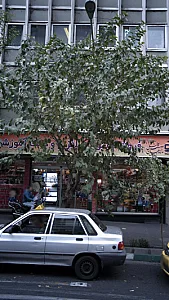 فروشگاه نوشت افزارو آموزشی
