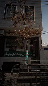 نوشت افزار سیاوشان
