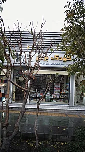 کودک برتر