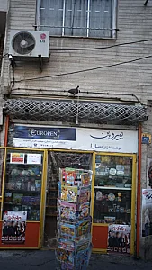 نوشت افزار سارا