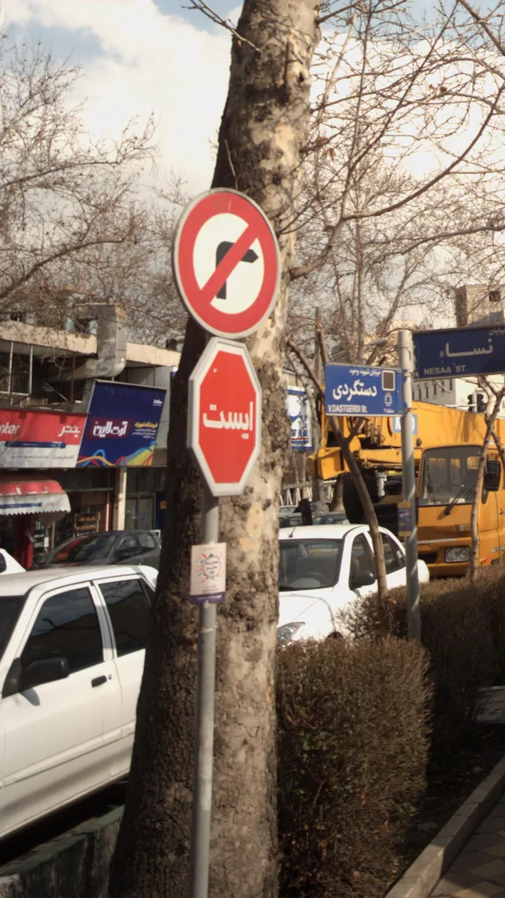 آرت لاین