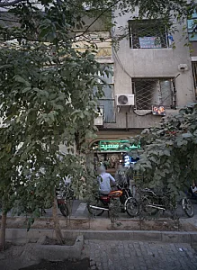 همراه سعید