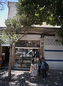 گالری مادر