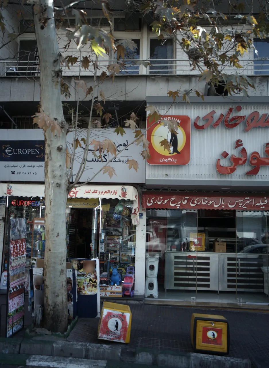 فروشگاه گلسار
