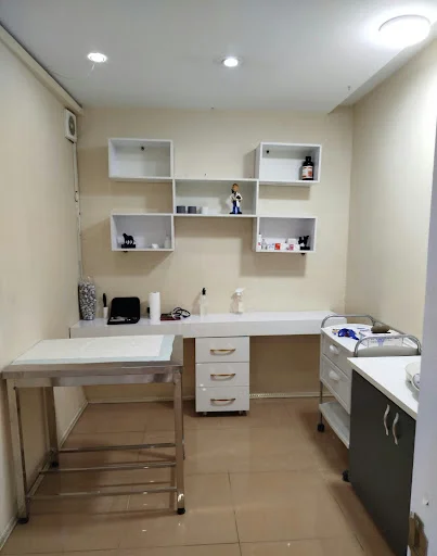 کلینیک دامپزشکی شبانه روزی پت لند