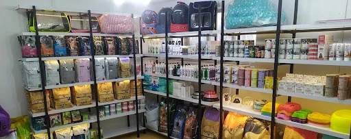 کلینیک دامپزشکی شبانه روزی پت لند