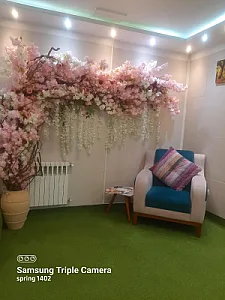کلینیک زیبایی اگرا