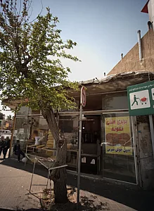 بربری سنتی نمونه