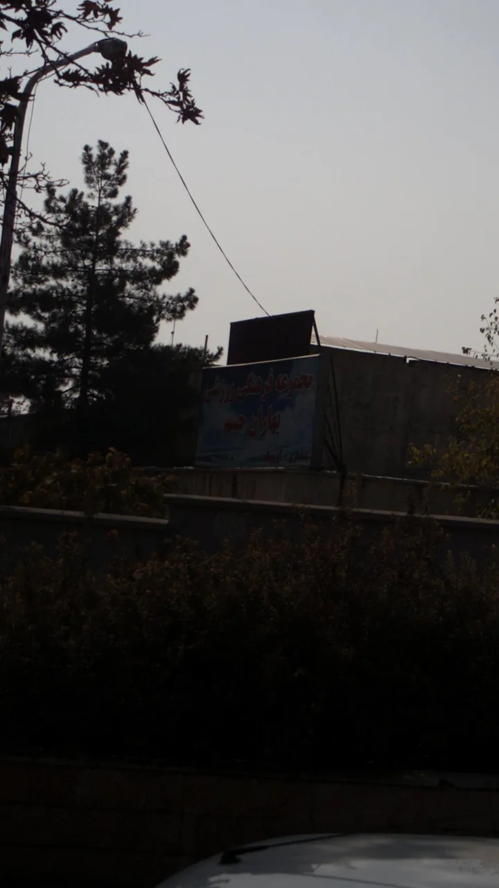 باغ گل بهاران - تصویر 4
