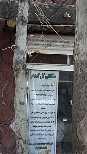 سنگکی گل گندم