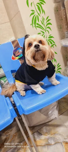 کلینیک دامپزشکی گرین پت - کلینیک دامپزشکی در تبریز