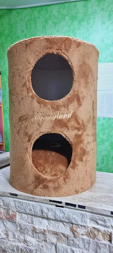 کلینیک دامپزشکی گرین پت - کلینیک دامپزشکی در تبریز