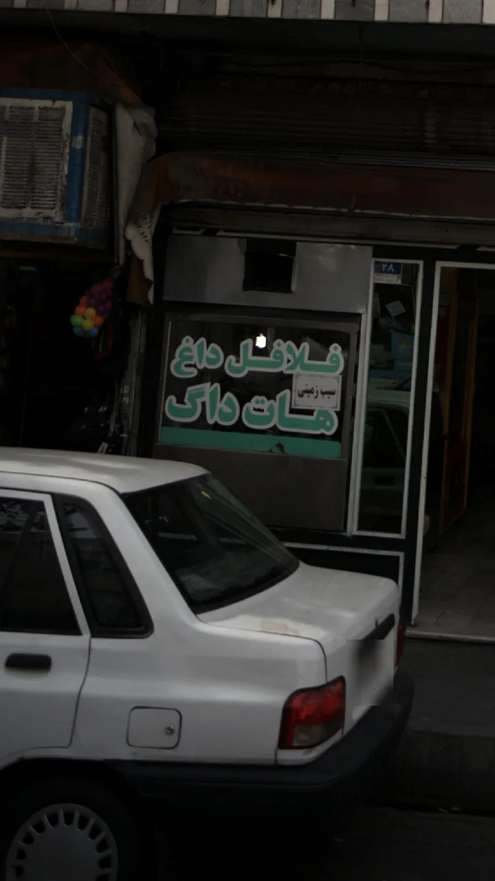 فلافل داغ، هات داگ - تصویر 2