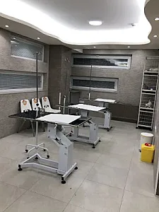 کلینیک دامپزشکی سینا