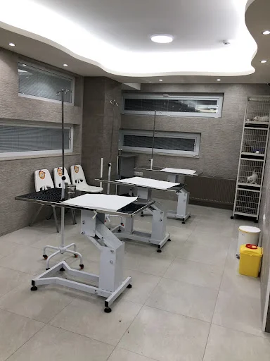 کلینیک دامپزشکی سینا