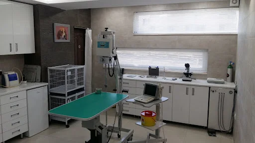 کلینیک دامپزشکی سینا - کلینیک دامپزشکی در تبریز
